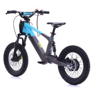 RFN EVO 16 Balance eBike