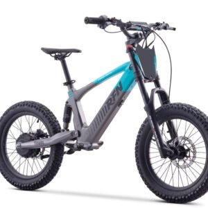 RFN EVO 16 Balance eBike