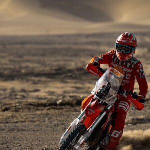 Arctic Leopard E-XE 800 (Cheetah) Electric Motorcycle